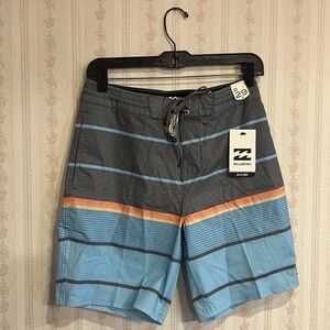 Billabong Multicolor Striped Board Shorts